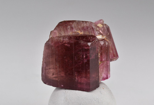 Rubellite tourmaline from - rubellite, dt